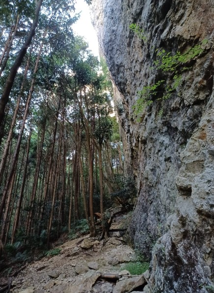 Sport Climbing at Horai
